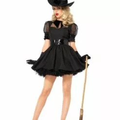 Adult Bewitching Beauty Costume