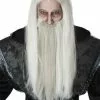 California Costume Collection Adult Dark Wizard Wig And Beard Set -Storybook & Fairytale Costumes Sales adult dark wizard wig and beard set