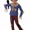 Fun Costumes Patchwork Scarecrow Adult Plus Size Costume