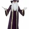 Fun Costumes Adult Purple Wizard Costume