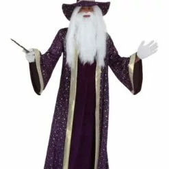 Fun Costumes Adult Purple Wizard Costume