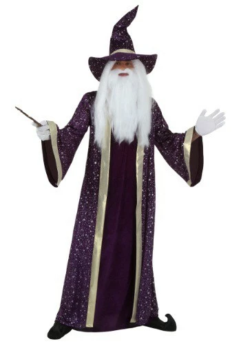Fun Costumes Adult Purple Wizard Costume 3 Fun Costumes Adult Purple Wizard Costume