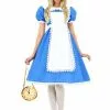 Fun Costumes Adult Supreme Alice Costume