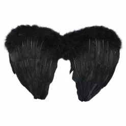 H.M. Smallwares Black Angel Wings Costume