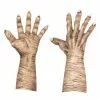 Ghoulish Productions Evil Witch Flesh Hands -Storybook & Fairytale Costumes Sales evil witch flesh hands