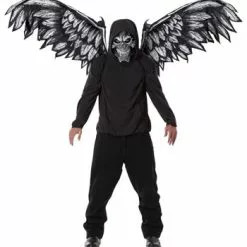 California Costume Collection Fallen Angel Mask And Wings