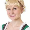 Partytime Costume & Lingerie (Yiwu) Factory German Beer Girl Wig For Women -Storybook & Fairytale Costumes Sales german beer girl wig