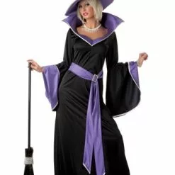California Costume Collection Glamour Witch Incantasia Costume