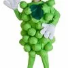 Fun Costumes Green Grapes Costume