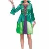 Disguise Hocus Pocus Women's Classic Wini Costume -Storybook & Fairytale Costumes Sales hocus pocus womens classic wini costume