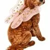 Rubies Costume Co. Inc Fairy Wing Costume For Pets -Storybook & Fairytale Costumes Sales pet fairy wing costume