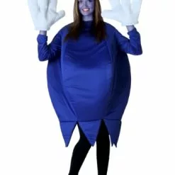 Fun Costumes Plus Size Blueberry Costume