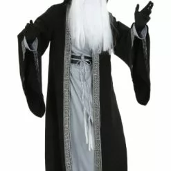 Fun Costumes Plus Size Deluxe Wizard Costume