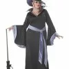 California Costume Collection Plus Size Glamour Witch Incantasia Costume -Storybook & Fairytale Costumes Sales plus size glamour witch incantasia costume