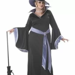 California Costume Collection Plus Size Glamour Witch Incantasia Costume