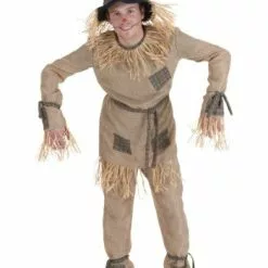 Fun Costumes Plus Size Silly Scarecrow Costume