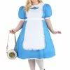 Fun Costumes Plus Size Supreme Alice Costume