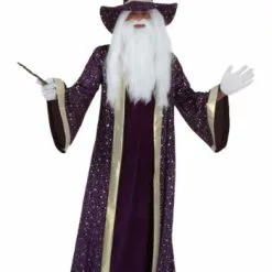 Fun Costumes Plus Size Wizard Costume