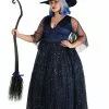 Fun Costumes Plus Size Moonbeam Witch Costume For Women