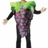 Rasta Imposta Purple Grapes Costume For Adults -Storybook & Fairytale Costumes Sales purple grapes adult costume