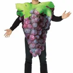 Rasta Imposta Purple Grapes Costume For Adults