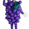 Fun Costumes Purple Grapes Costume -Storybook & Fairytale Costumes Sales purple grapes costume