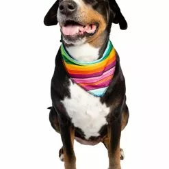 Pet Krewe Bandana And Sombrero Pet Costume Set -Storybook & Fairytale Costumes Sales sombrero bandana pet costume set alt 3
