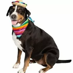 Pet Krewe Bandana And Sombrero Pet Costume Set -Storybook & Fairytale Costumes Sales sombrero bandana pet costume set alt 5
