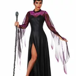 Fun Costumes Women's Plus Size Malicious Queen Costume