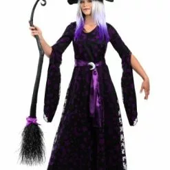 Fun Costumes Purple Moon Women's Witch Costume
