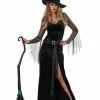 California Costume Collection Rich Witch Women's Costume