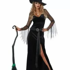 California Costume Collection Rich Witch Women's Costume