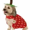 Rubies Costume Co. Inc Yummy Strawberry Dog Costume -Storybook & Fairytale Costumes Sales yummy strawberry dog costume